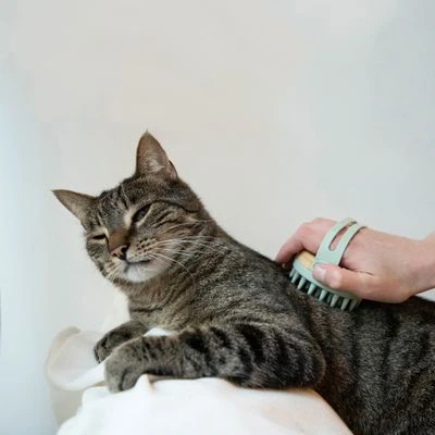 Kooa Cepillo Masajeador Para Gatos - Imagen 7