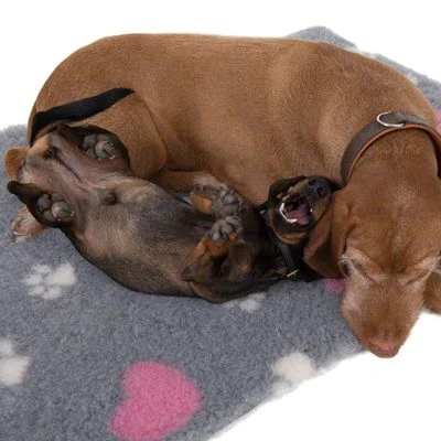 Manta Térmica Isobed Para Perros - Imagen 12