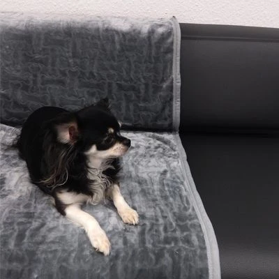 Manta Bones XXL Para Perros - Imagen 3