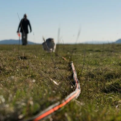 Correa De Rastreo Heim Engomada Para Perros - Imagen 3