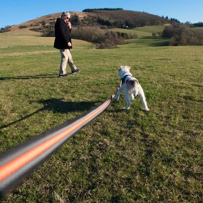 Correa De Rastreo Heim Engomada Para Perros - Imagen 8