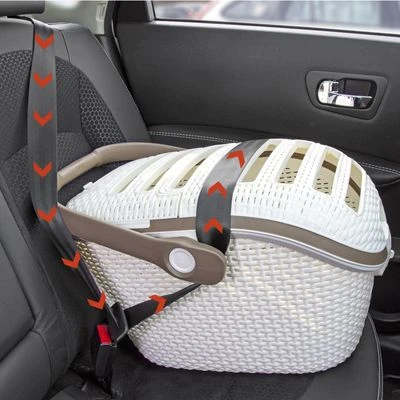 TransportÃn Curver Para Mascotas - Imagen 9