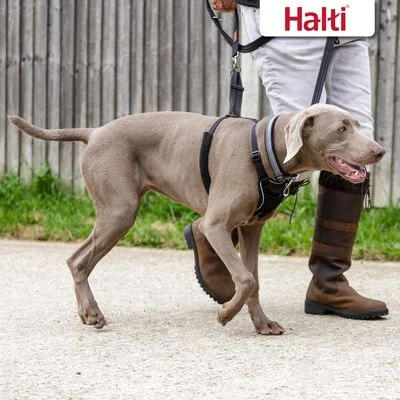 Halti Arnés Antitirada Non-Pull Harness Para Perros - Imagen 5