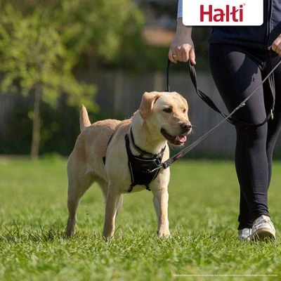 Halti Arnés Antitirada Non-Pull Harness Para Perros - Imagen 2