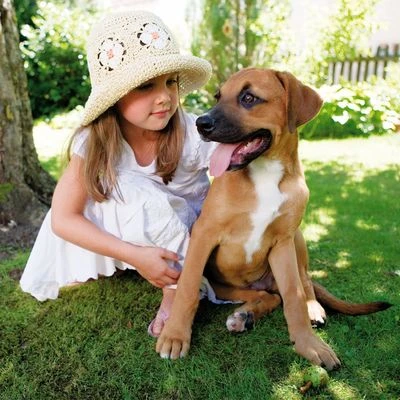 Happy Dog NaturCroq Para Cachorros - Imagen 6