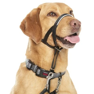 Collar Antitirada HALTI Para Perros - Imagen 2