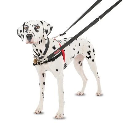 Arnés Antitirones Front Control HALTI Para Perros - Imagen 7