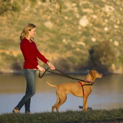 Arnés Antitirones Front Control HALTI Para Perros - Imagen 3