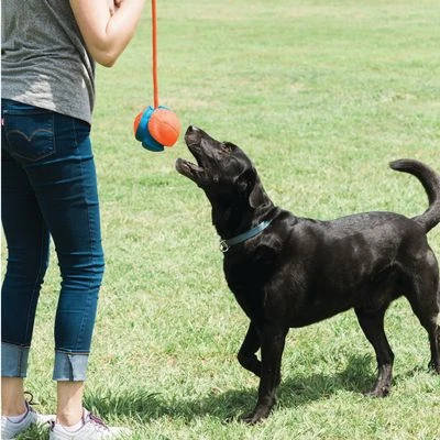 Chuckit! Rope Fetch Pelota Con Cuerda Para Perros - Imagen 6