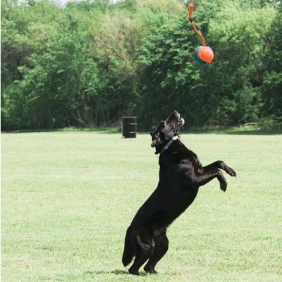 Chuckit! Rope Fetch Pelota Con Cuerda Para Perros - Imagen 3