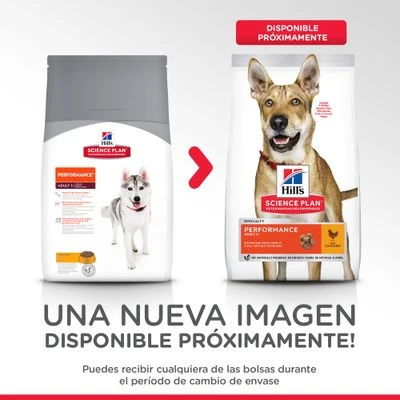 Hill's Science Plan Hill's Adult 1+ Perfomance Science Plan Con Pollo - Imagen 2