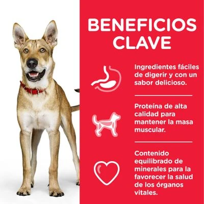 Hill's Science Plan Hill's Adult 1+ Perfomance Science Plan Con Pollo - Imagen 5