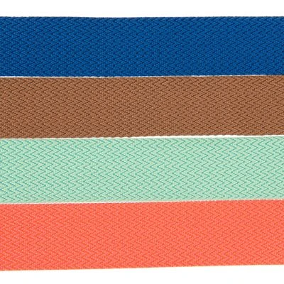 Correa Nomad Tales Bloom Menta Para Perros - Imagen 12