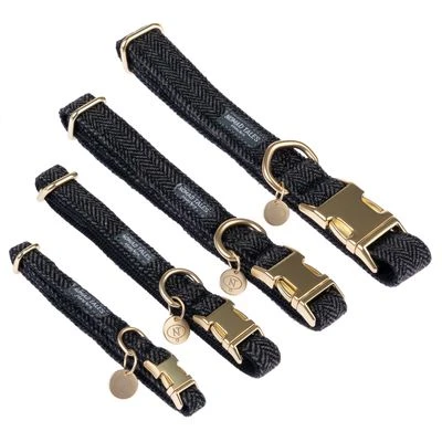 Collar Nomad Tales Calma ébano Para Perros - Imagen 10