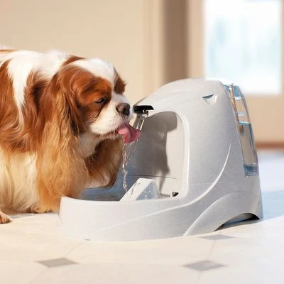 Fuente De Agua Para Mascotas Drinkwell Platinum De PetSafe - Imagen 6