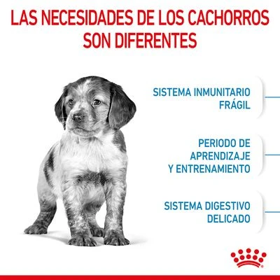 Royal Canin Medium Puppy - Imagen 5