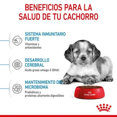 Royal Canin Medium Puppy - Imagen 4