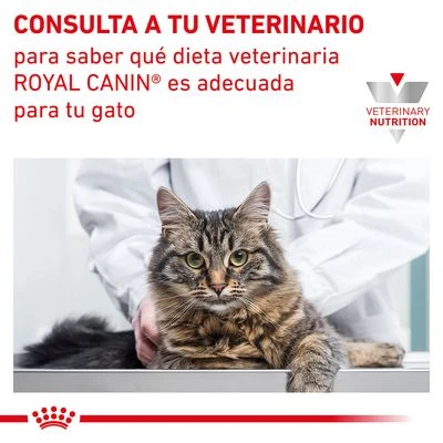 Royal Canin Veterinary Feline Early Renal - Imagen 10