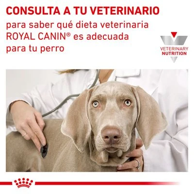 Royal Canin Veterinary Canine Satiety Weight Management Small Dog - Imagen 9