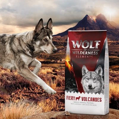 Pack Ahorro: 2 X 12 Wolf Of Wilderness Elements - Imagen 5