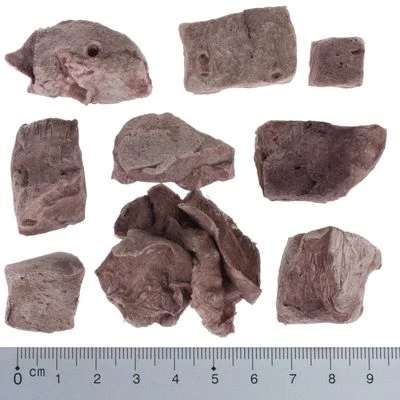 Pack Ahorro 4 X Wolf Of Wilderness RAW Snacks Liofilizados Premium - Imagen 14