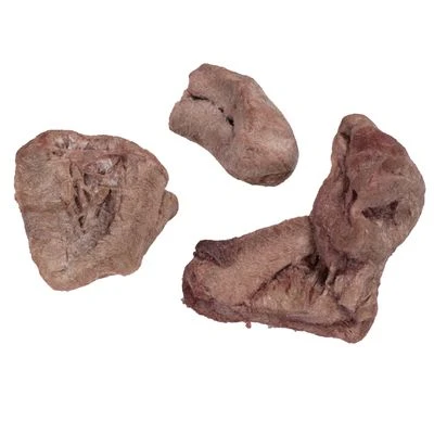 Pack Ahorro 4 X Wolf Of Wilderness RAW Snacks Liofilizados Premium - Imagen 16