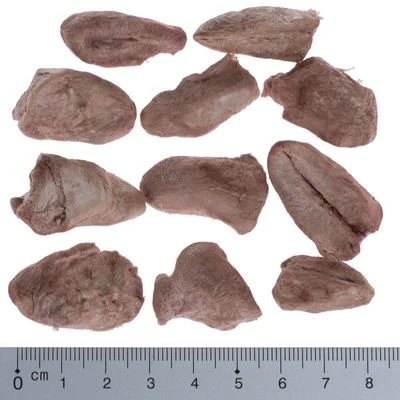 Pack Ahorro 4 X Wolf Of Wilderness RAW Snacks Liofilizados Premium - Imagen 17